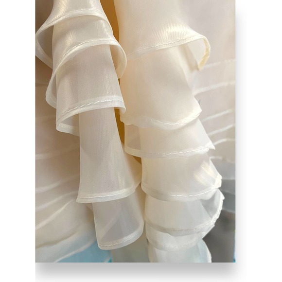 NWT * A-line Organza Mini Dress with Scoop Neck and Flowered Applique - Picture 3 of 9